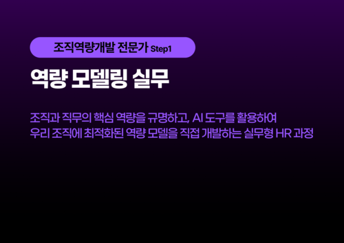 역량 모델링 실무